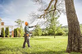 How Our Tree Care Process Works  in  Hooverson Heights, WV